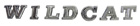 Quarter Panel Letter Set, 1967 Buick Wildcat