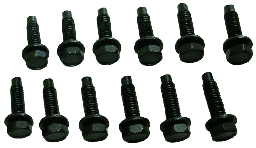 Door hinge bolts, set of 12, 1968-72 Cutlass and 442