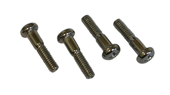 Parking Light Lens Screws, 2 pieces, 1969-70 Cutlass and 442