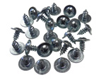 Roof Rail Weatherstrip Retainer Screw Kit - 1968-72 Cutlass Hardtops
